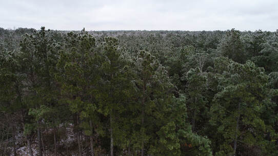 aerial Picture of the woods with dusting of snow.