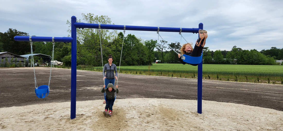 Picture of our grandkids playing on the swings. 