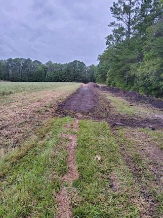 Picture of the ditch/swale on south side of property